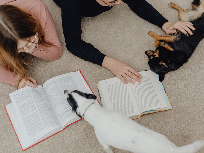 Jóvenes leyendo libros y acariciando perros